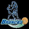 https://img.833zhiboq.com.cn/img/basketball/team/2174e7e8658c453cb46cf31c8e8a8cd9.png