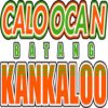 https://img.833zhiboq.com.cn/img/basketball/team/8f4f7a4d7dffd7785640d9ce2d429aa8.png