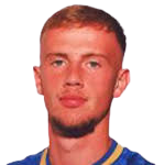 https://img.833zhiboq.com.cn/img/football/player/1ea502df31a0fd652a9f6c4223713521.png