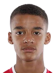 https://img.833zhiboq.com.cn/img/football/player/36ffb830d16dba074b96e5c8c1a2608f.png