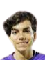 https://img.833zhiboq.com.cn/img/football/player/79c3a041737923f2795a82fbe6dd8fd1.png