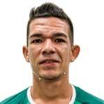 https://img.833zhiboq.com.cn/img/football/player/aadde91b68688c2a0dc7d59624ad0c6b.png