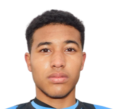 https://img.833zhiboq.com.cn/img/football/player/d7bc71cad19fb7019c0a27186d554ad5.png