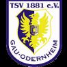 https://img.833zhiboq.com.cn/img/football/team/0425718c842cc1330a6507bdde3c1da4.png