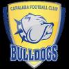 https://img.833zhiboq.com.cn/img/football/team/da8bfcabb427caa8c01fbb244a1f77aa.png