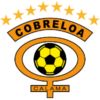 https://img.833zhiboq.com.cn/img/football/team/dfef59103668b52788e357e8ac07e9ef.png